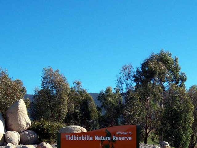 Nature’s Oasis: Canberra’s Spectacular Parks and Reserves