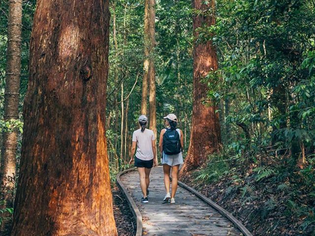 Exploring Brisbane’s Natural Splendor: Top Parks and Gardens