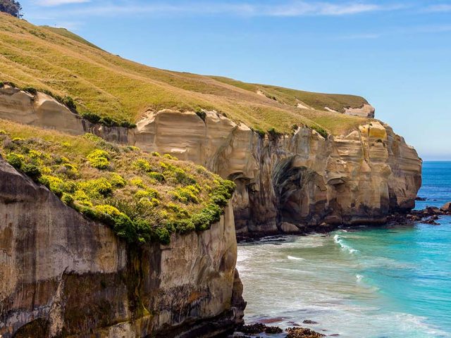 Unlocking the Perfect Journey: Mastering the Art of Booking Flights to Dunedin