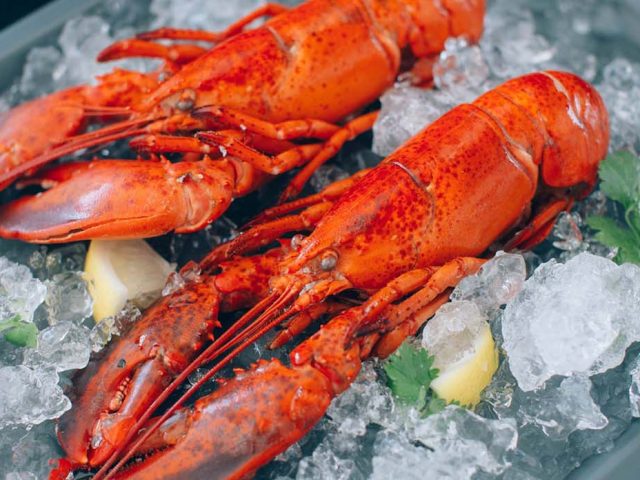 Boston Culinary Exploration: A Journey from Seafood to Sweets
